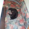 2003-07-18_17-32-52_l.jpg